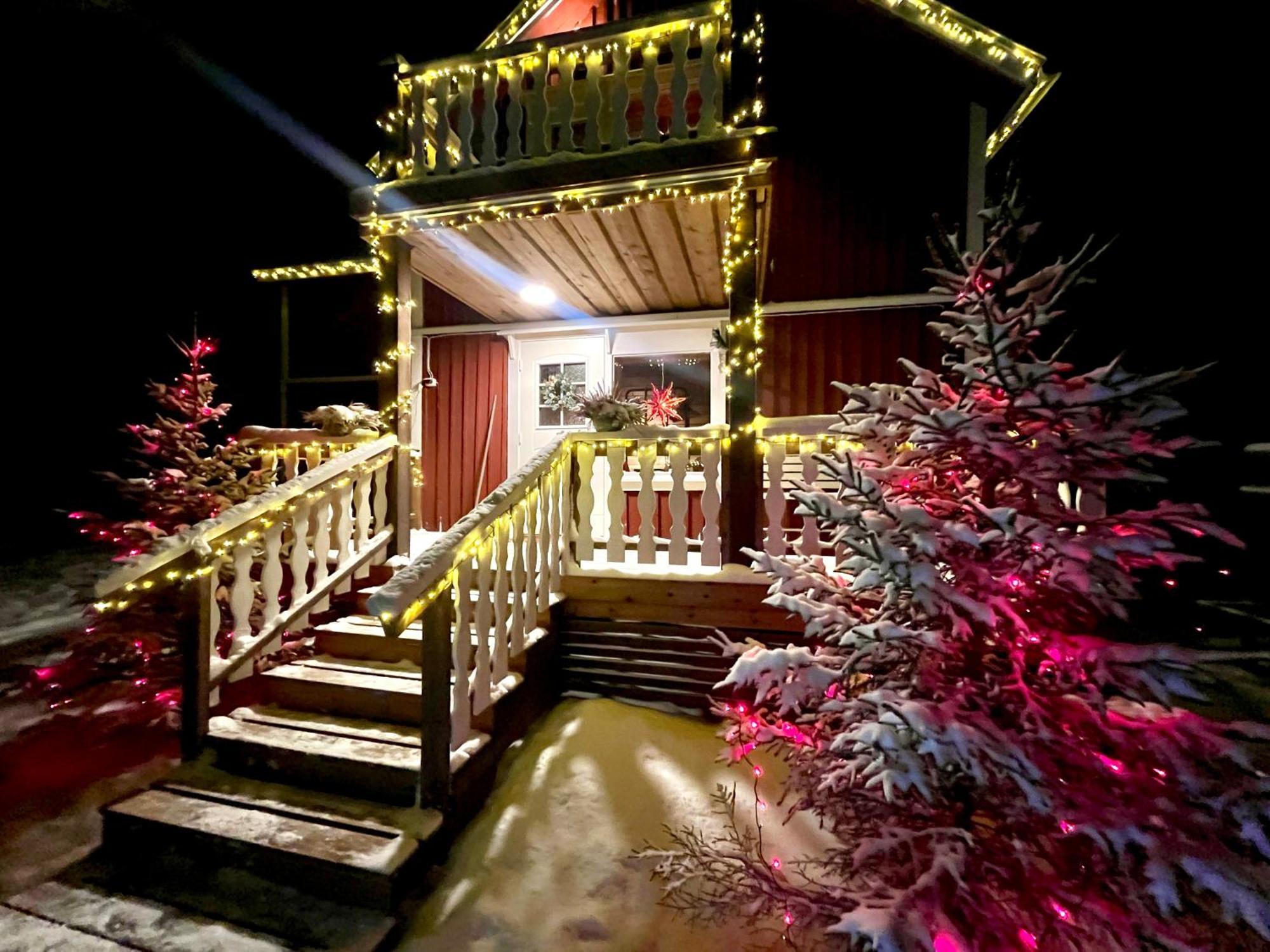Art House Of Lady Christmas
